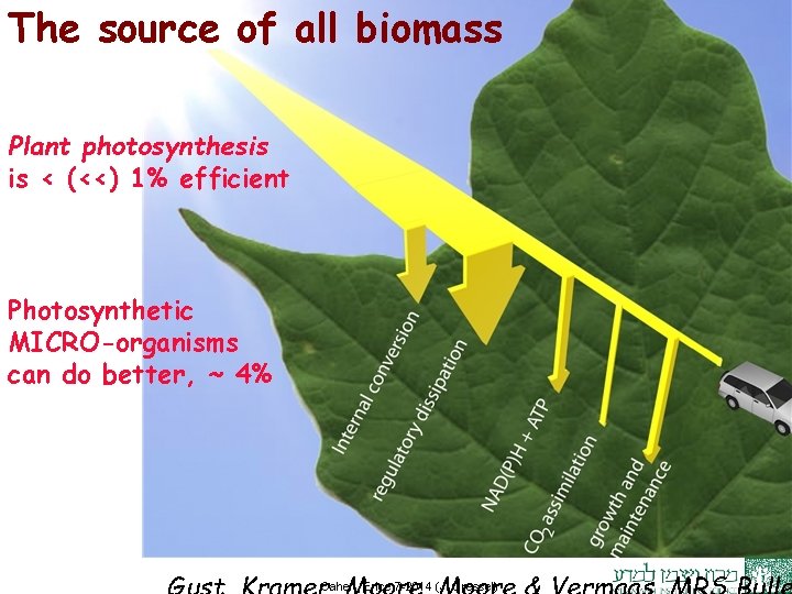The source of all biomass Plant photosynthesis is < (<<) 1% efficient Photosynthetic MICRO-organisms