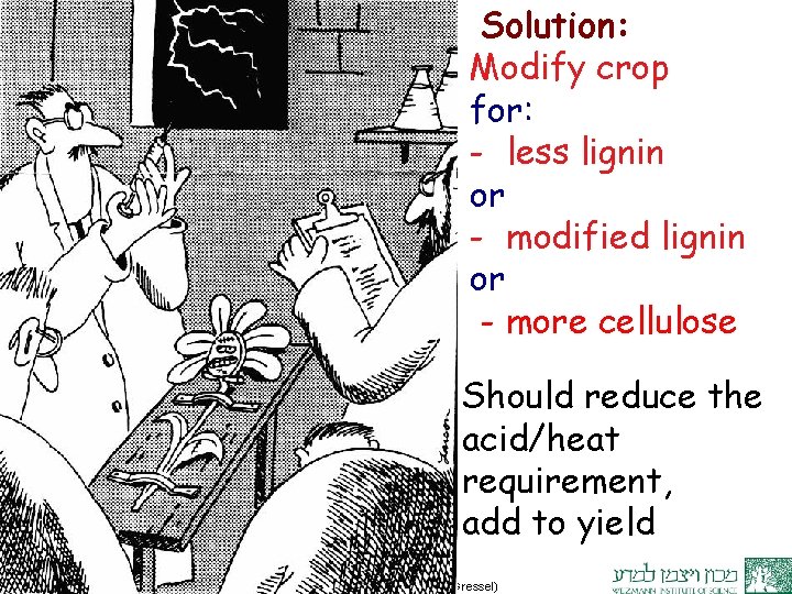 Solution: Modify crop for: - less lignin or - modified lignin or - more