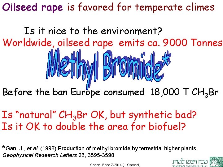 Oilseed rape is favored for temperate climes Is it nice to the environment? Worldwide,