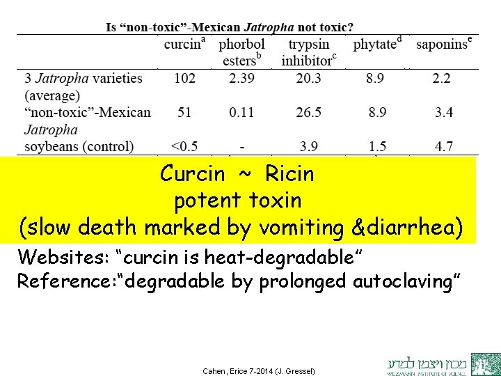 Curcin ~ Ricin potent toxin (slow death marked by vomiting &diarrhea) Websites: “curcin is