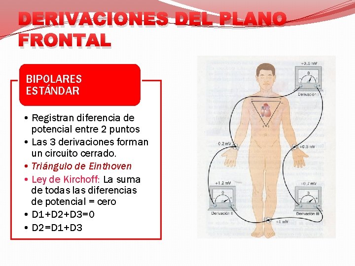 DERIVACIONES DEL PLANO FRONTAL BIPOLARES ESTÁNDAR • Registran diferencia de potencial entre 2 puntos
