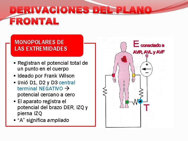DERIVACIONES DEL PLANO FRONTAL MONOPOLARES DE LAS EXTREMIDADES • Registran el potencial total de
