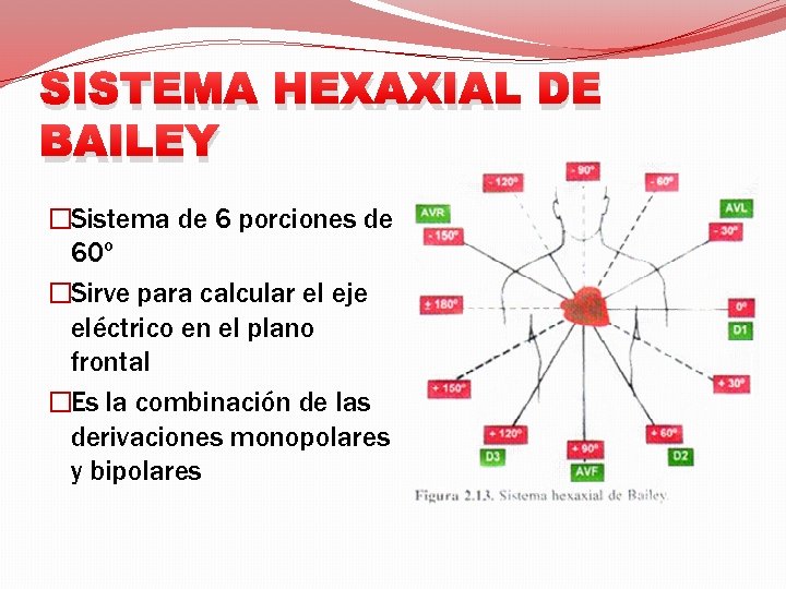 SISTEMA HEXAXIAL DE BAILEY �Sistema de 6 porciones de 60º �Sirve para calcular el