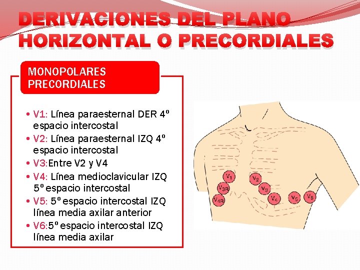 DERIVACIONES DEL PLANO HORIZONTAL O PRECORDIALES MONOPOLARES PRECORDIALES • V 1: Línea paraesternal DER