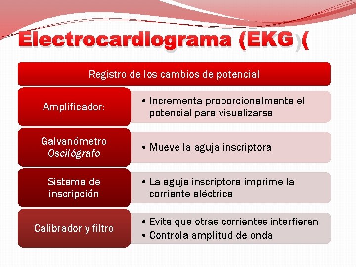 Electrocardiograma (EKG) Registro de los cambios de potencial Amplificador: • Incrementa proporcionalmente el potencial