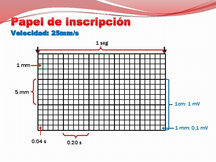 Papel de inscripción Velocidad: 25 mm/s 1 seg 1 mm 5 mm 1 cm: