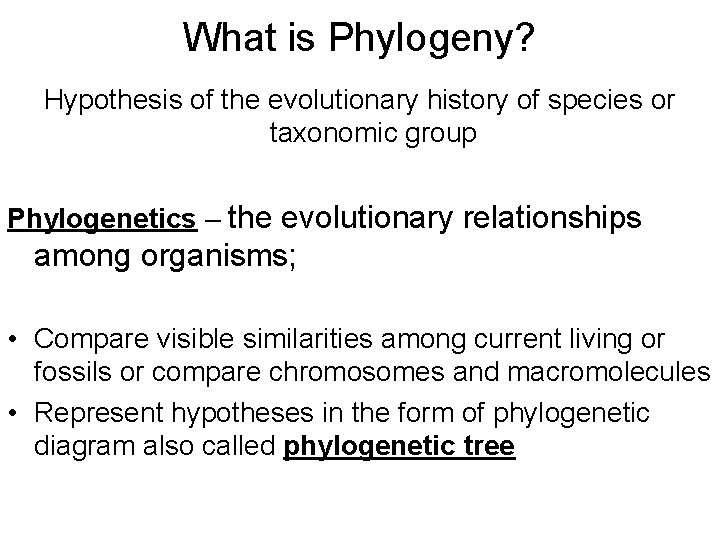 What is Phylogeny? Hypothesis of the evolutionary history of species or taxonomic group Phylogenetics