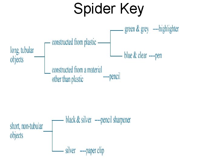 Spider Key 