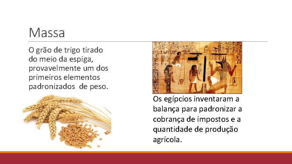 Massa O grão de trigo tirado do meio da espiga, provavelmente um dos primeiros