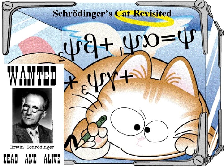 Schrödinger’s Cat Revisited 