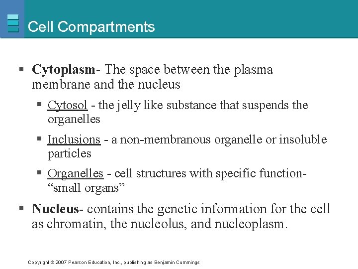 Cell Compartments § Cytoplasm- The space between the plasma membrane and the nucleus §