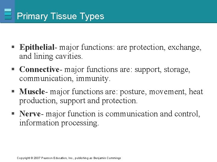 Primary Tissue Types § Epithelial- major functions: are protection, exchange, and lining cavities. §