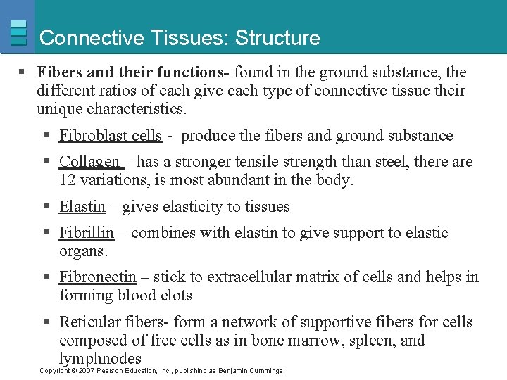 Connective Tissues: Structure § Fibers and their functions- found in the ground substance, the