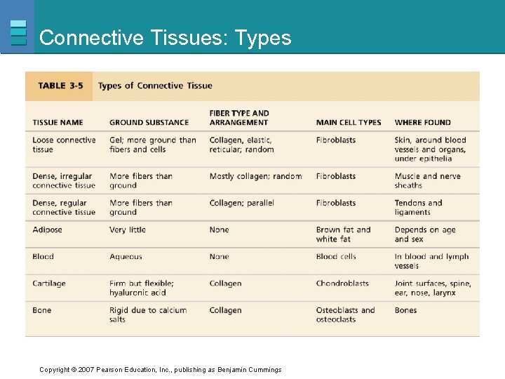 Connective Tissues: Types Copyright © 2007 Pearson Education, Inc. , publishing as Benjamin Cummings