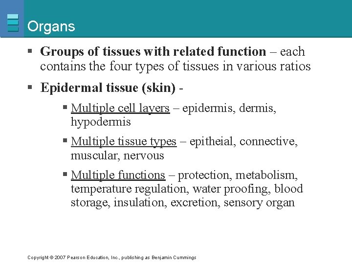 Organs § Groups of tissues with related function – each contains the four types