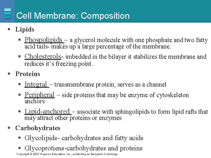 Cell Membrane: Composition § Lipids § Phospolipids – a glycerol molecule with one phosphate