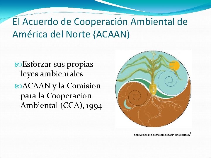 El Acuerdo de Cooperación Ambiental de América del Norte (ACAAN) Esforzar sus propias leyes