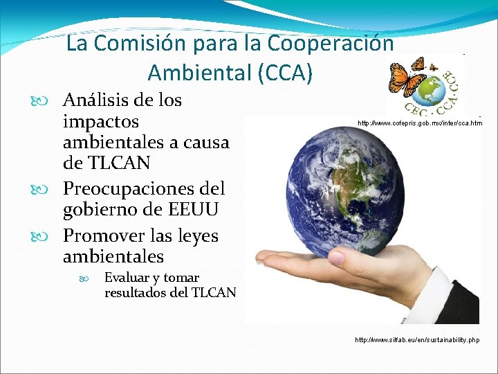 La Comisión para la Cooperación Ambiental (CCA) Análisis de los impactos ambientales a causa