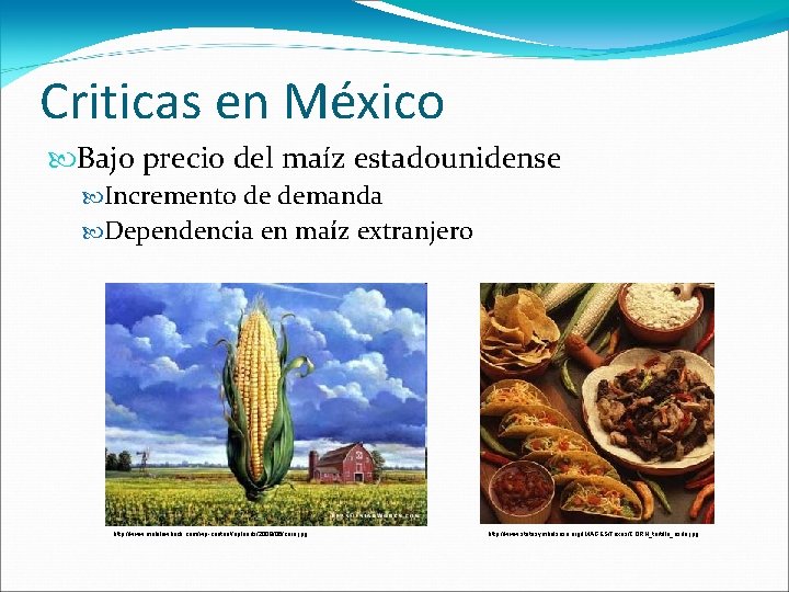 Criticas en México Bajo precio del maíz estadounidense Incremento de demanda Dependencia en maíz