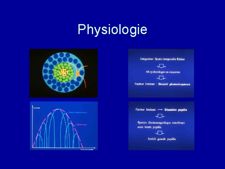 Physiologie 