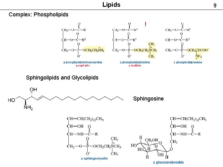 Lipids 9 Complex: Phospholipids ! Sphingolipids and Glycolipids Sphingosine 