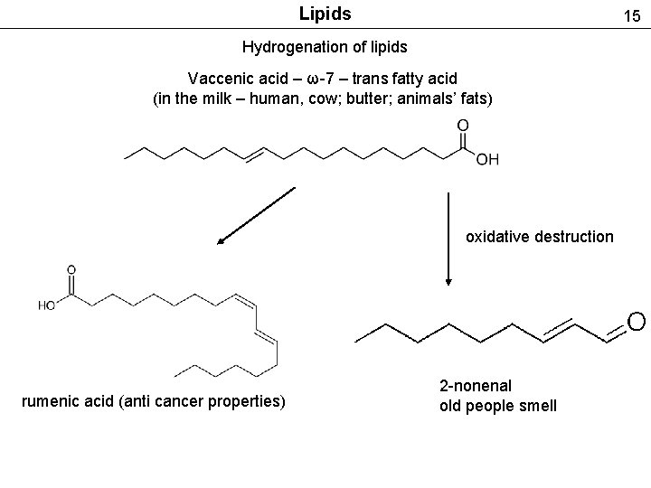 Lipids 15 Hydrogenation of lipids Vaccenic acid – ω-7 – trans fatty acid (in