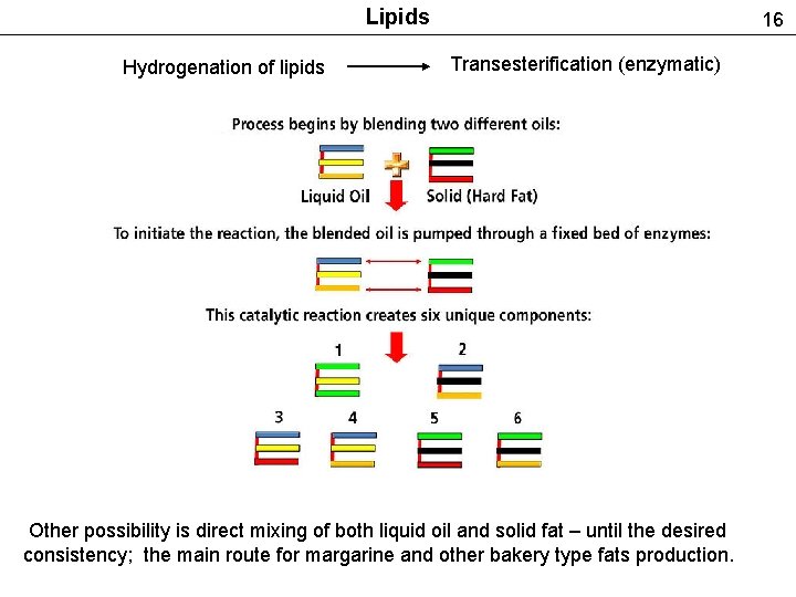 Lipids Hydrogenation of lipids 16 Transesterification (enzymatic) Other possibility is direct mixing of both
