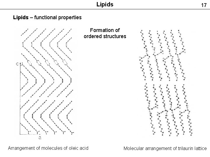 Lipids 17 Lipids – functional properties Formation of ordered structures Arrangement of molecules of