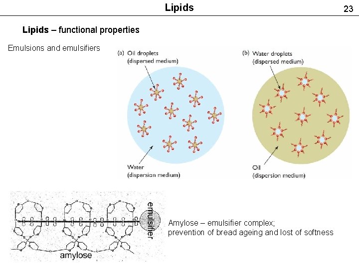 Lipids – functional properties Emulsions and emulsifiers Amylose – emulsifier complex; prevention of bread