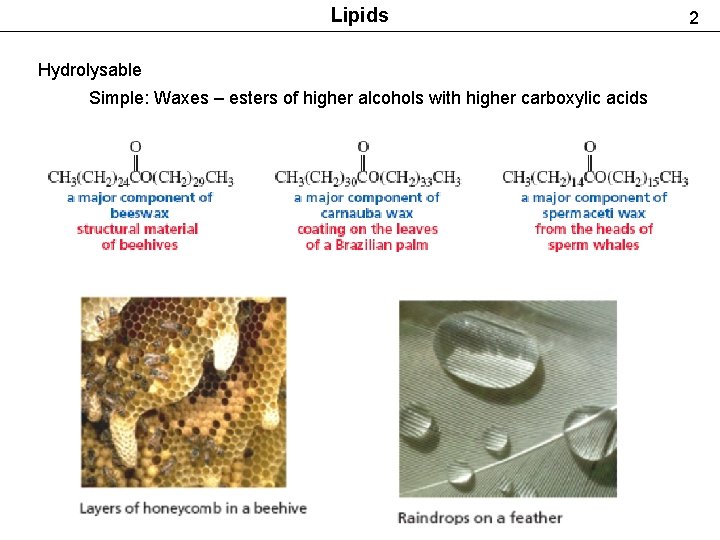 Lipids Hydrolysable Simple: Waxes – esters of higher alcohols with higher carboxylic acids 2