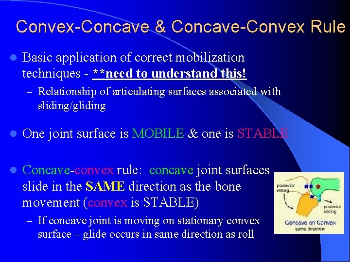 Convex-Concave & Concave-Convex Rule l Basic application of correct mobilization techniques - **need to