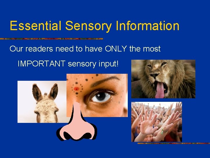 Essential Sensory Information Our readers need to have ONLY the most IMPORTANT sensory input!