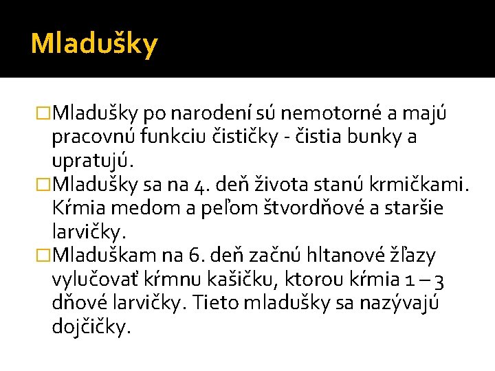 Mladušky �Mladušky po narodení sú nemotorné a majú pracovnú funkciu čističky - čistia bunky Mladušky �Mladušky po narodení sú nemotorné a majú pracovnú funkciu čističky - čistia bunky