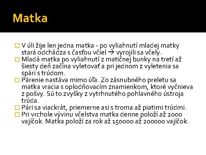 Matka � V úli žije len jedna matka - po vyliahnutí mladej matky stará Matka � V úli žije len jedna matka - po vyliahnutí mladej matky stará