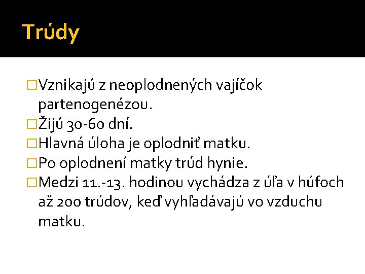 Trúdy �Vznikajú z neoplodnených vajíčok partenogenézou. �Žijú 30 -60 dní. �Hlavná úloha je oplodniť Trúdy �Vznikajú z neoplodnených vajíčok partenogenézou. �Žijú 30 -60 dní. �Hlavná úloha je oplodniť