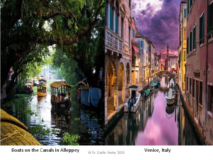 Boats on the Canals in Alleppey © Dr. Darlie Koshy 2018 Venice, Italy 