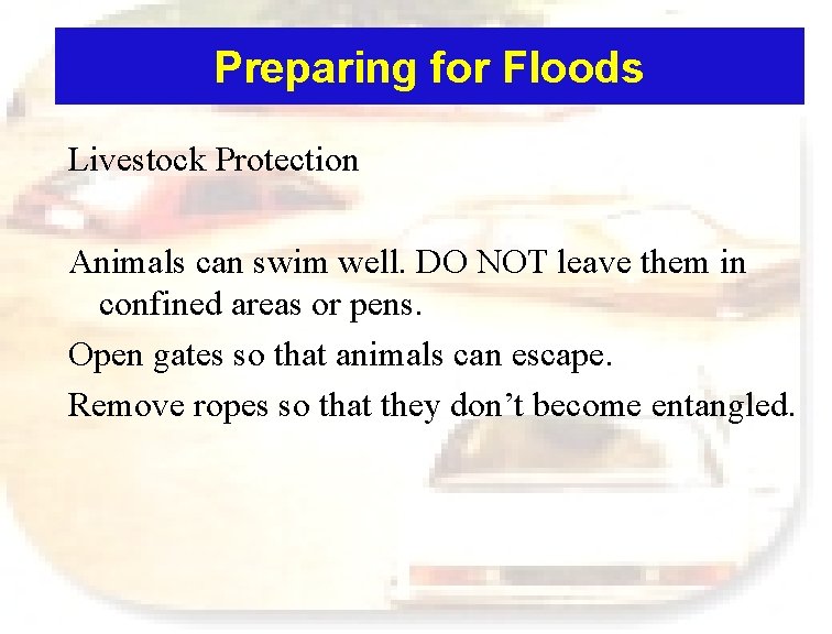 Preparing for Floods Livestock Protection Animals can swim well. DO NOT leave them in