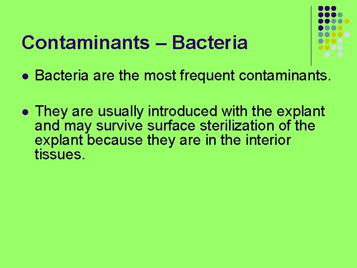 Contaminants – Bacteria l Bacteria are the most frequent contaminants. l They are usually
