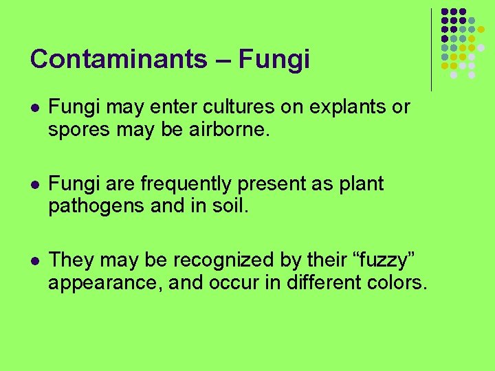 Contaminants – Fungi l Fungi may enter cultures on explants or spores may be