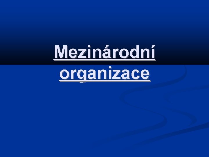 Mezinárodní organizace 