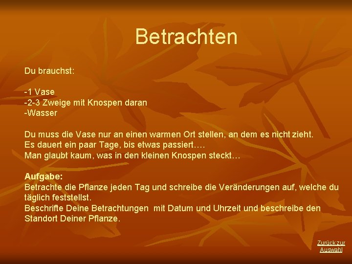 Betrachten Du brauchst: -1 Vase -2 -3 Zweige mit Knospen daran -Wasser Du muss