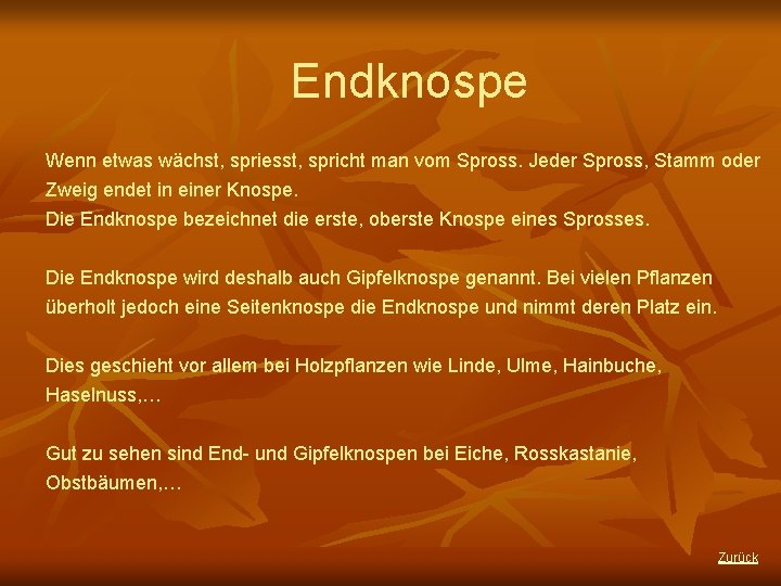 Endknospe Wenn etwas wächst, spriesst, spricht man vom Spross. Jeder Spross, Stamm oder Zweig