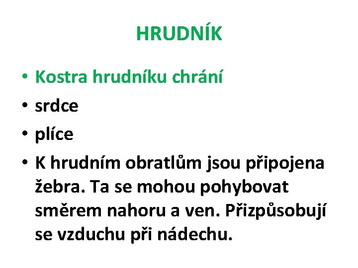 HRUDNÍK • • Kostra hrudníku chrání srdce plíce K hrudním obratlům jsou připojena žebra.