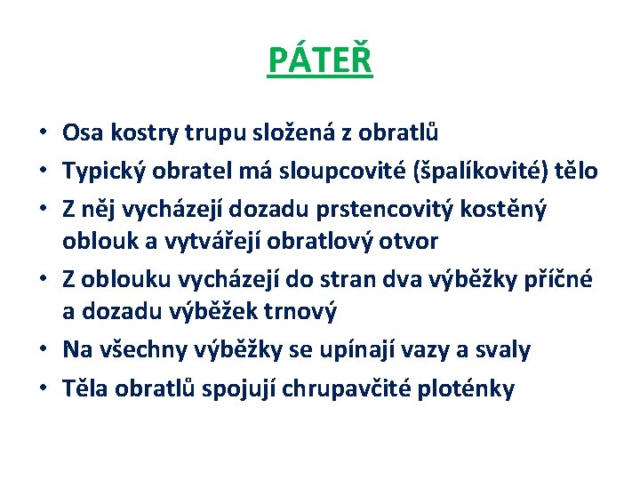 PÁTEŘ • Osa kostry trupu složená z obratlů • Typický obratel má sloupcovité (špalíkovité) PÁTEŘ • Osa kostry trupu složená z obratlů • Typický obratel má sloupcovité (špalíkovité)