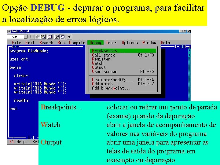 Opção DEBUG - depurar o programa, para facilitar a localização de erros lógicos. Breakpoints.