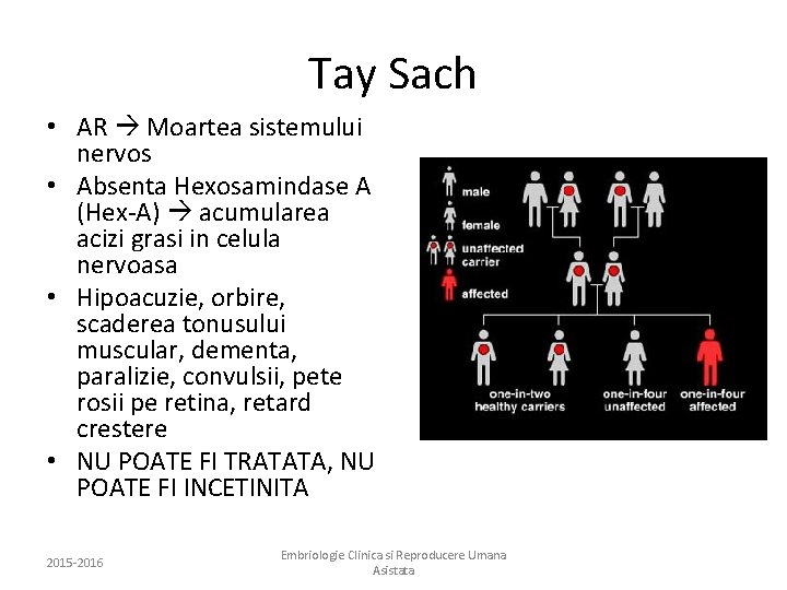Tay Sach • AR Moartea sistemului nervos • Absenta Hexosamindase A (Hex-A) acumularea acizi
