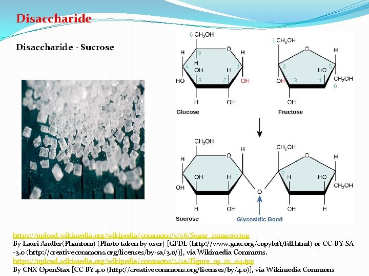 Disaccharide - Sucrose https: //upload. wikimedia. org/wikipedia/commons/5/56/Sugar_2 xmacro. jpg By Lauri Andler(Phantom) (Photo taken