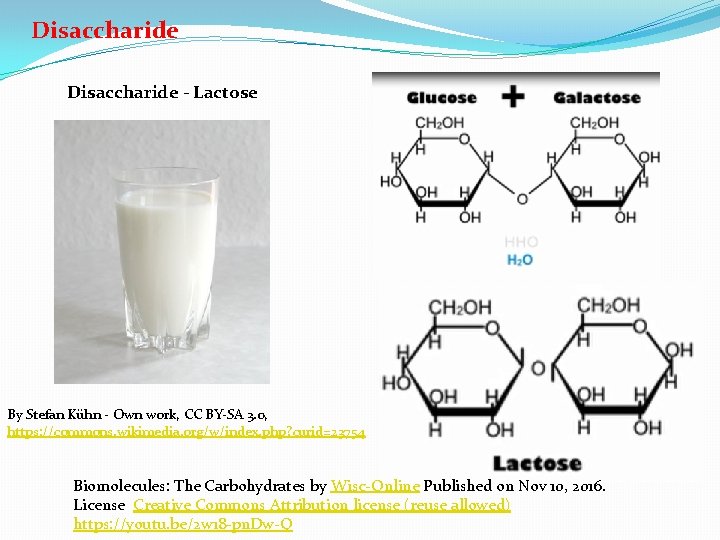 Disaccharide - Lactose By Stefan Kühn - Own work, CC BY-SA 3. 0, https:
