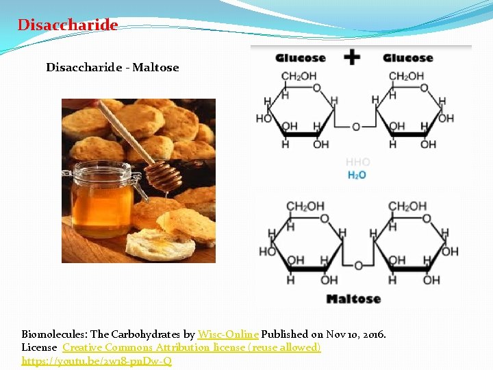 Disaccharide - Maltose Biomolecules: The Carbohydrates by Wisc-Online Published on Nov 10, 2016. License