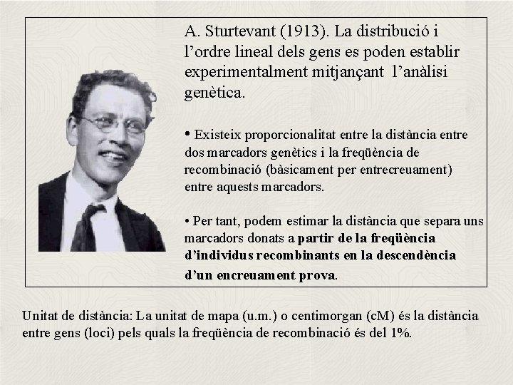 A. Sturtevant (1913). La distribució i l’ordre lineal dels gens es poden establir experimentalment